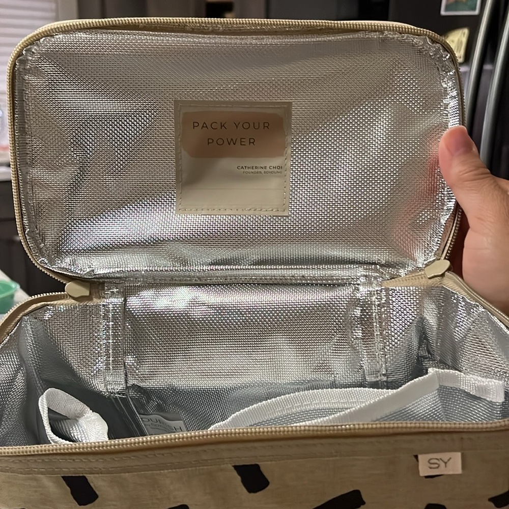 NWT "Nourish by SoYoung" Lunch Bag - Rose Gold Pinstripe - Picture 7 of 10